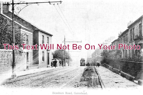 3043 bensham road - no,
