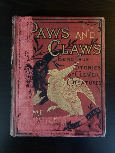 Paws and claws - claws, 8th