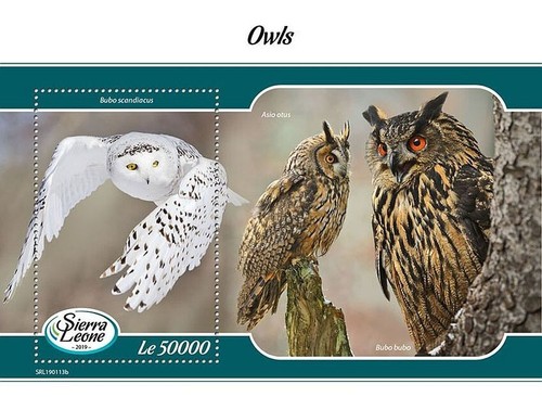 Owls birds prey value - of,