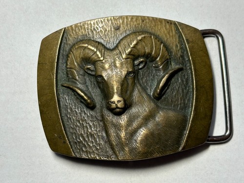 Rare rocky mountain bighorn - mountain,