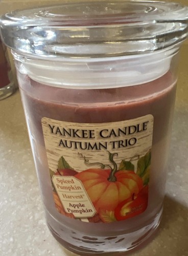 Yankee candle autumn - candle, oz
