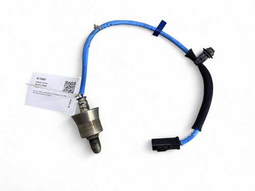 Lexus 2024 hybrid lambda - v,
