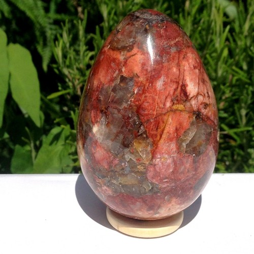 Stunning fossil wood crystal - fossil,