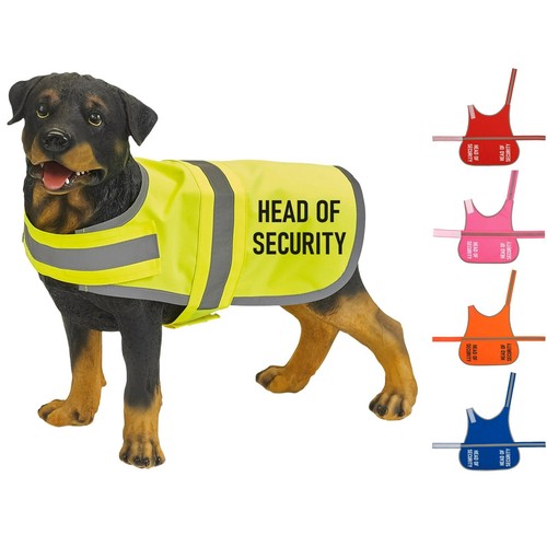 Head security vis dog - security, hi-vis