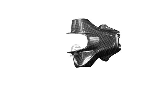 Carbon license plate - carbon, holder