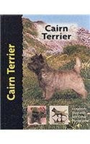 Cairn terrier jamieson - terrier,,