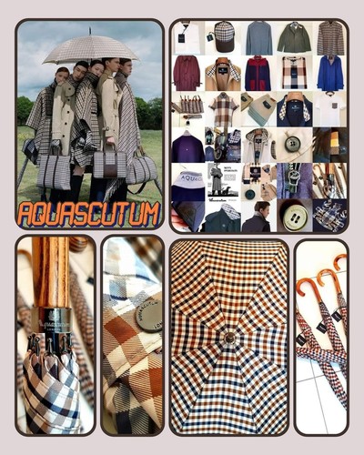 Aquascutum vicuna club - vicuna, check