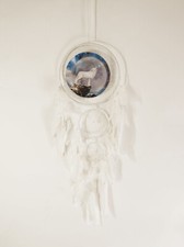 Dream Catcher White Wolf 25cm