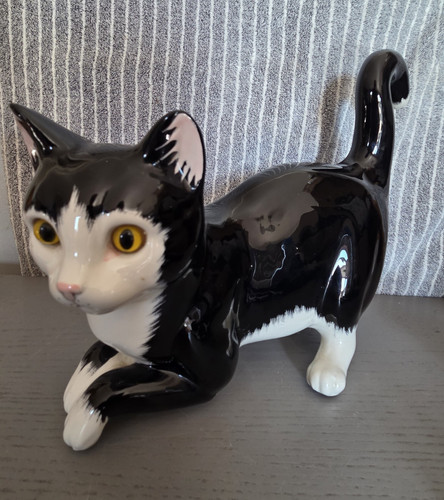 Just cats co - just, &