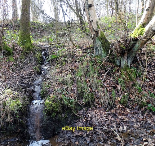 Photo 6x4 bankside gully - bankside,