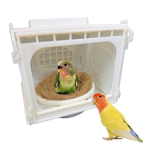 Bird breeding box parakeet - box,