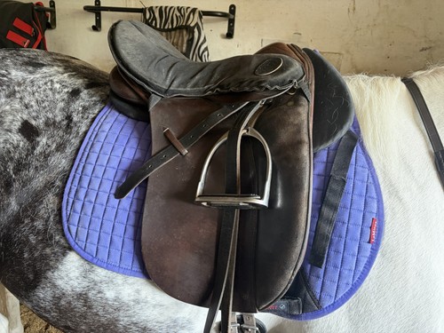 Brown dressage horse saddle - horse,