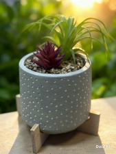 Artificial Succulent Plant in
