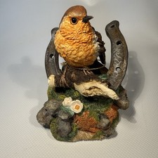 New Robin on Horseshoe Bird By