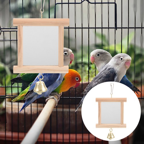 Unique parakeet toy with - parakeet,