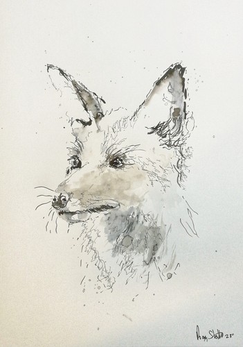 Original fox ink sketch - original,