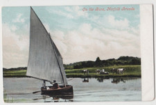 Norfolk Broads On the Bure Vintage Postcard Sailing Boat