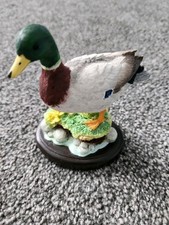 Border Fine Arts - Bird - Mallard - A23985 - 2012.