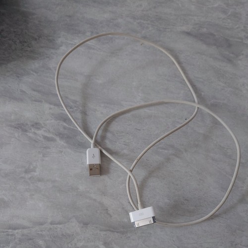 Apple pin charger - apple,