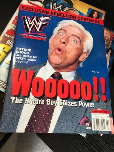 Wwf wwe magazine february - wwe,