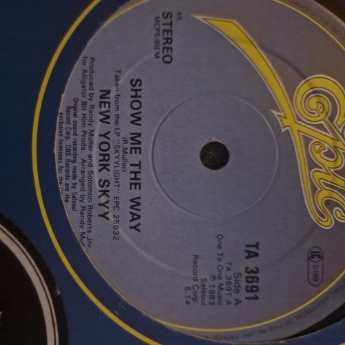 Skyy show the way 12 - -, (12"