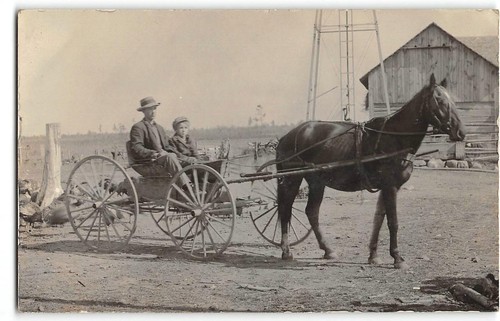 Rppc horse drawn - rppc, carriage