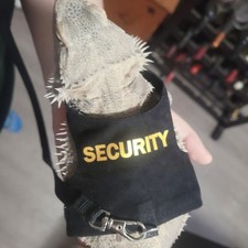 Adjustable Bearded Dragon
