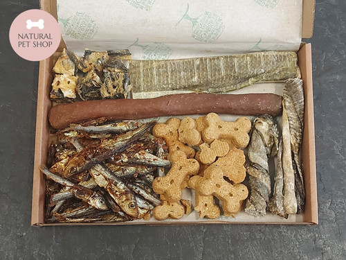 Dog treats gift - dog, fish