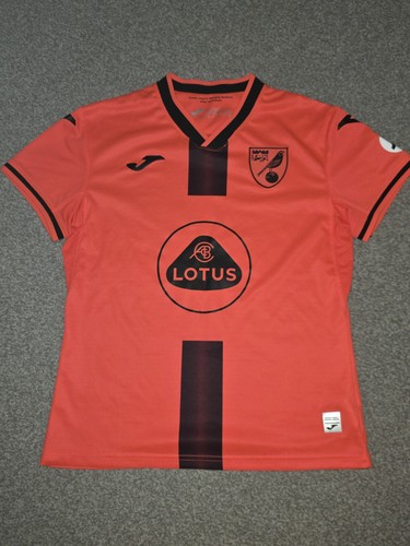 Ladies norwich city - city, third