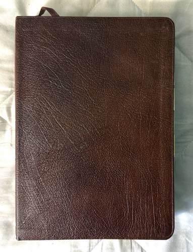 Niv study bible zondervan - study,