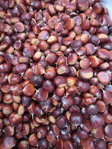 Sweet chestnuts 1kg - sweet,