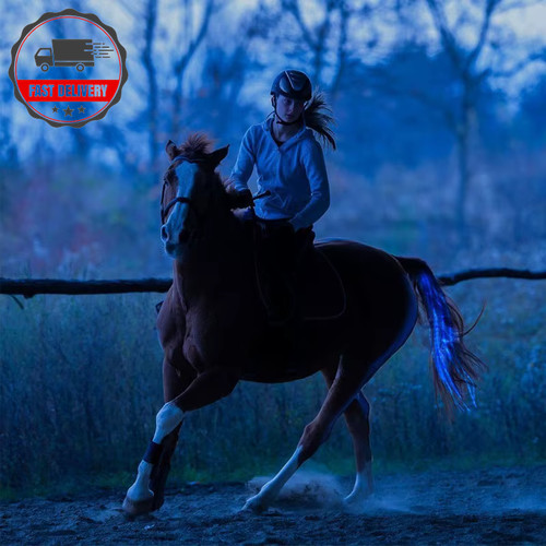 100cm chargeable led horse - chargeable,