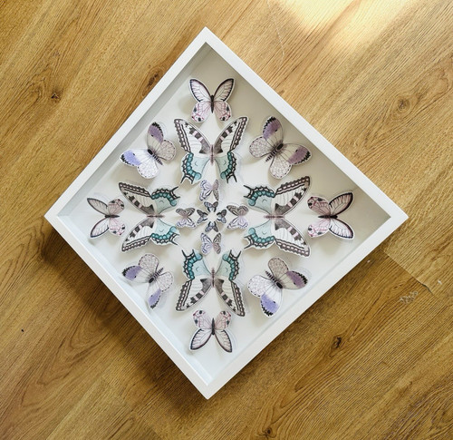 Framed effect butterfly - 3d,