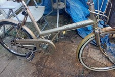 1980's Vintage Raleigh Shopper