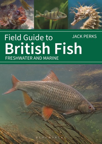 Field guide british - field,
