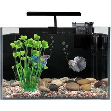 HEURYTEP Betta Fish Tank, 2.5