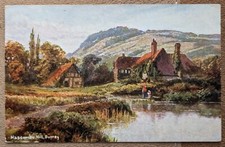 Hascombe Hill, Illustration