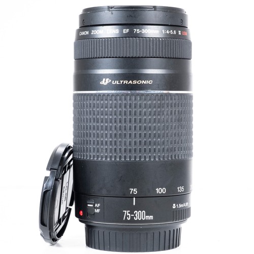 Canon 300mm 5 6 iii - f/4.0-5.6,