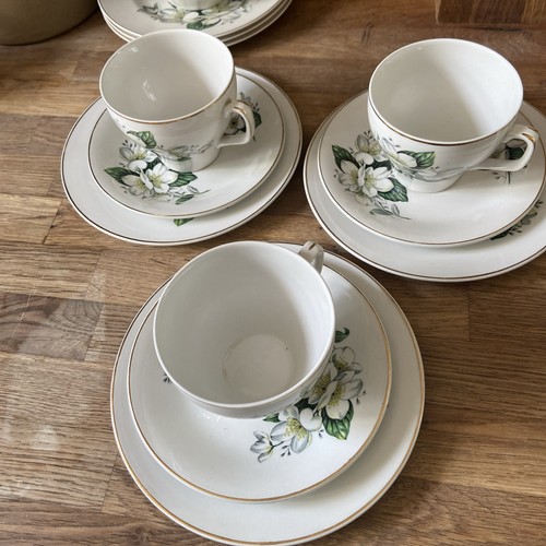 Wood and sons - wood, cup