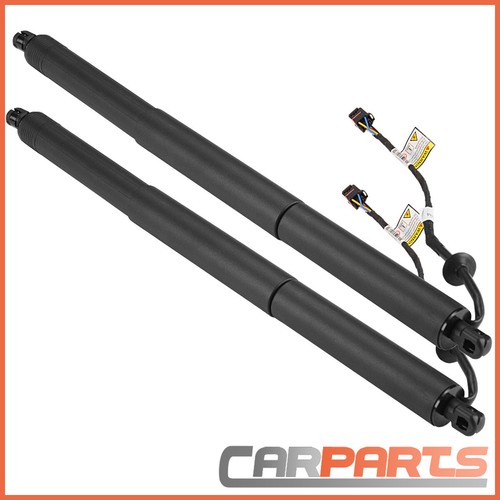 Gas struts electric - gas,