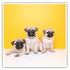 2 x Square Stickers 10 cm -