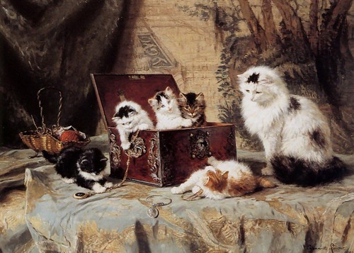 Henriette ronner knip - henriette, 7x5