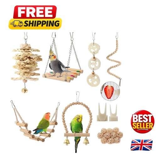 Delightful bird toys bundle - delightful,