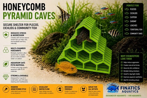 Honeycomb fish cave pleco - honeycomb,