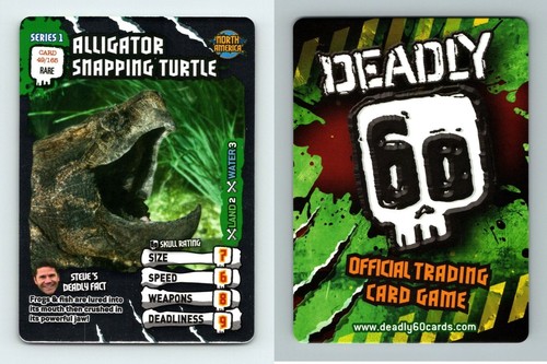 Alligator snapping turtle - alligator,