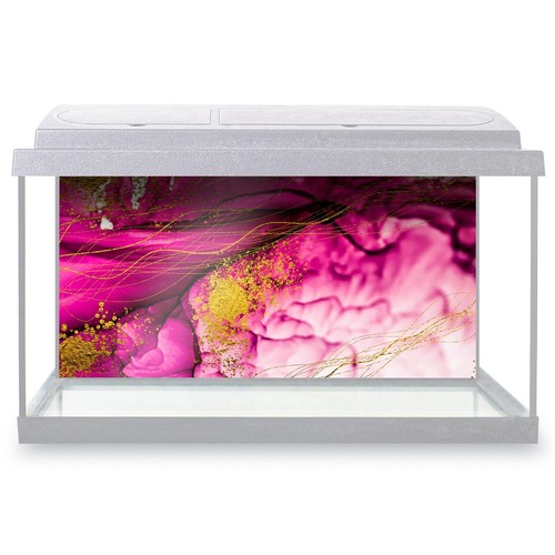 Fish tank background - fish,