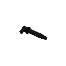 Integrated Ignition Coil Sgr