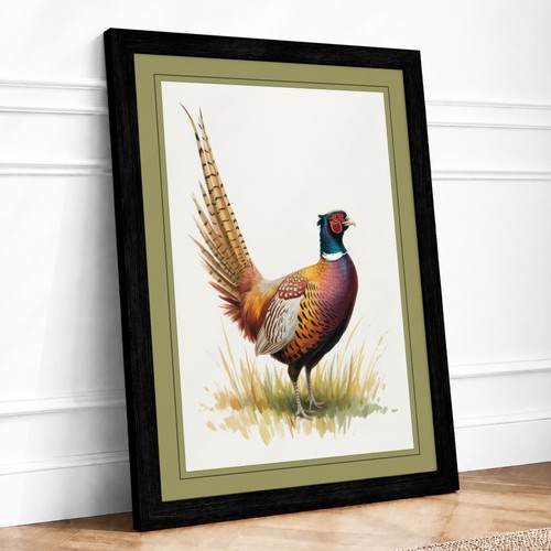 Pheasant profile botanical - in,