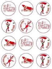 12 X Pre Cut Edible Icing