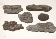 Driftwood Mixed collection 5x pieces for Home decor/crafts/art/sign/beach